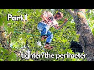 How to make a TREENET: Tight Perimeter