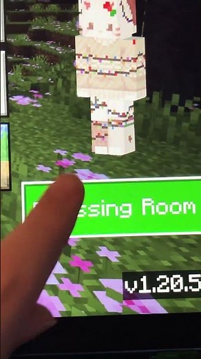 How to get your skin on skinseed #minecraft