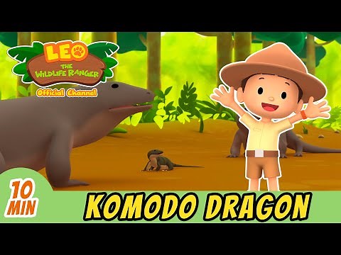 Komodo Dragon | Help The Lost Baby Dragon! | Full Episode! | Leo the Wildlife Ranger | Kids