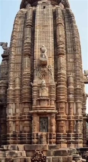 Gloxinia UK on TikTok