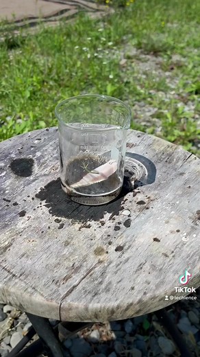 jamón en solución de piraña! #ácido #química #sulfúrico