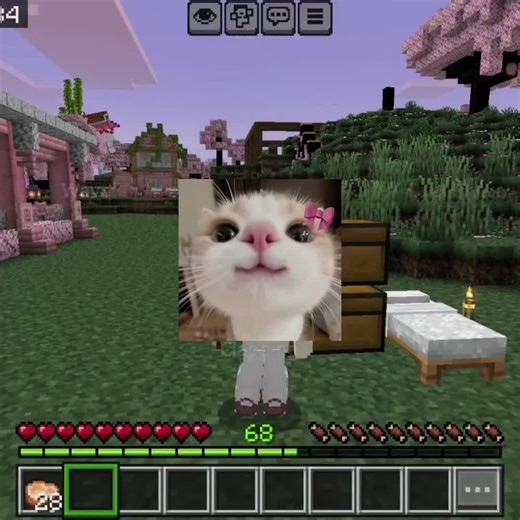 holaa, en el próximo video estaré mostrando como traigo a los aldeanos! 🫧🩷#fyp #lindo #parati #minecraft #viral