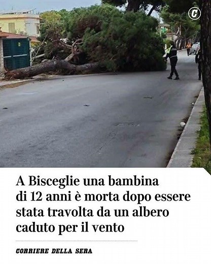 A Bisceglie una bambina di 12 anni muore travolta da un albero caduto per il vento #shorts #news