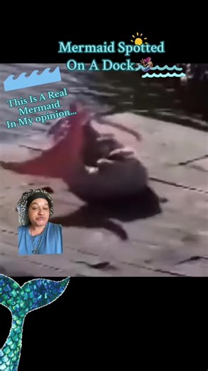 This in my opinion is a Real Mermaid! Mermaids are not beautiful women with shiny tails. The physical appearance of a mermaid is sometimes Nightmare Fuel. They are aquatic beings so of course they don’t look human. They have humanoid characteristics, but so does a blobfish. A sheephead has humanoid lips so I can see where the lines crossed. This my friends is a mermaid. #mermaids #cryptids#spiritualtok #mermaidsighting#realmermaid