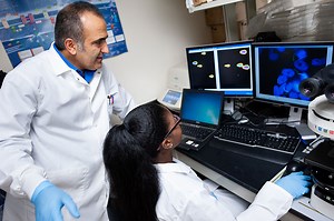 College of Arts and Sciences Graduate Programs - University of New Haven