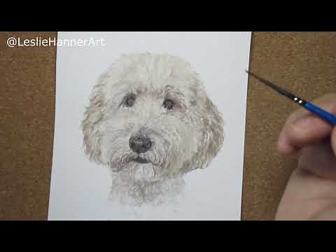 Painting a Golden Doodle in Watercolor || high speed || Pet Portrait
