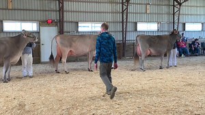 1.5K views · 44 reactions | Congratulations to the Grand Champions of the 2020 Midwest Spring Brown Swiss Show! | Cowsmopolitan, Inc. | Facebook