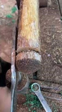 Woodturning Art - The Top DIY Clip #wood #woodscraft #carpentry #woodwork