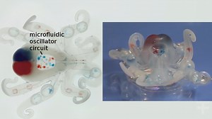 Soft Robot With Microfluidic Logic Circuit