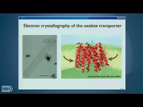 The cryo-EM revolution