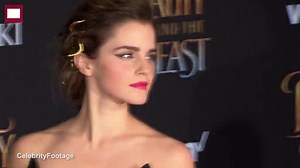 Hackers steal private photos of actress Emma Watson & Amanda Seyfried