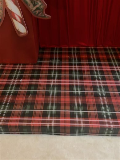 Lady Subastas on Instagram: "Posada 2025 LADY Subastas 💫💫💫💫💫💫 Vivimos una maravillosa noche en el salón @insurgentes302"