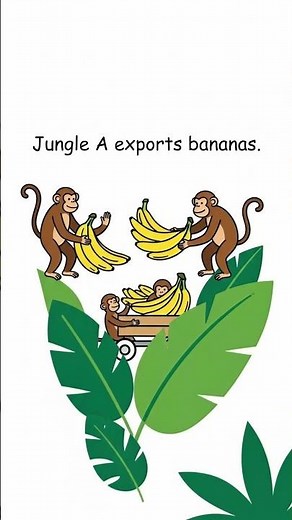 Imports & Exports Explained |