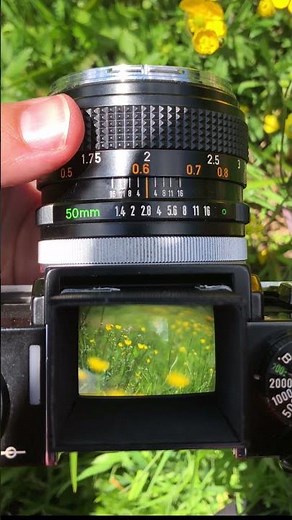 The waist level view finder of an Amazing Camera (Canon F-1) #shorts