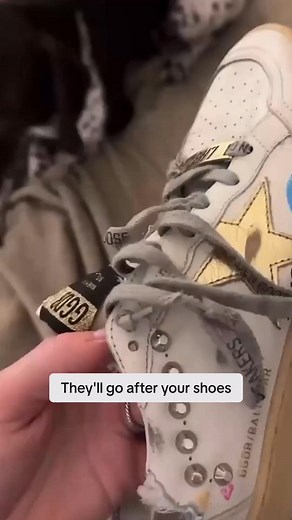 "If you love your dog, give them a Bullymake Box!" Made with safe, non-toxic materials, these tough toys and delicious treats are built just for power chewers. 💪 Keep them happy, healthy, and entertained! 🐾🎁 | BULLYMAKE