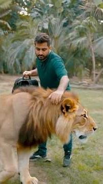 Best Camera Bag In 2025 #cameragimbal