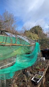 Look 👀 at the weather 🌦️ this morning in Reading Berkshire UK #everyone #lifestyle #followers #highlights #Weatherther | Crisniels