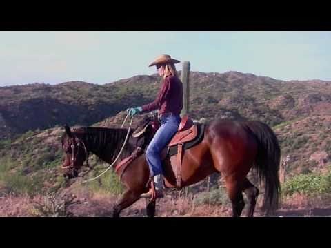 Windwalker Expedition Western Horseback Riding