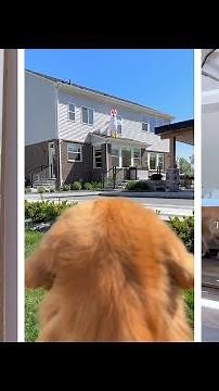 Twerking in a Chicken Costume is Harder than it Looks