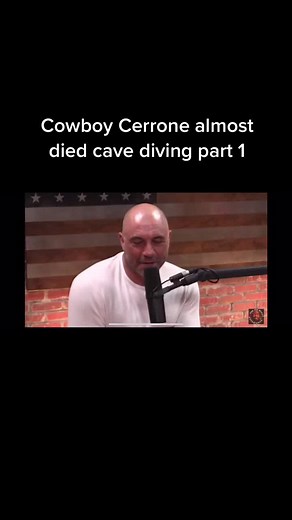 roganclips on TikTok