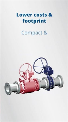 LNG Reliability Starts Here: Vanessa™ Cryogenic Triple Offset Valve