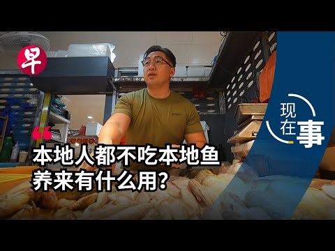 [ENG SUB] 想在本地卖好养殖鱼到底有多难? Why it’s difficult to sell locally farmed fish in Singapore