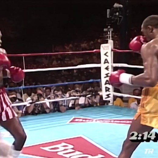 Sugar Ray Leonard vs Thomas Hearns 2 - Epic Boxing Rematch