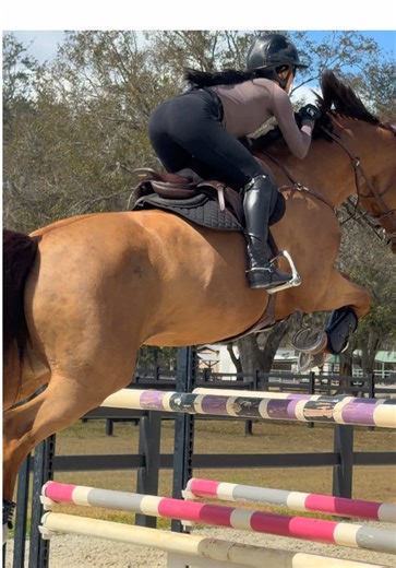 Valente understood the assignment 🦄 I think we are going to do a schooling round at UDJC this weekend, will I see any of you there? #equestrian #horse #showjumping #hunterjumper #horsegirl