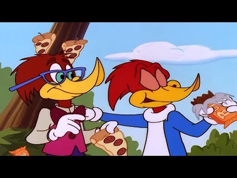 Pica-Pau | Pica-Pau volta à escola | Desenhos Animados em Português