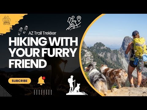 Hiking With Dogs 101 🐶⛰️ The Ultimate Guide