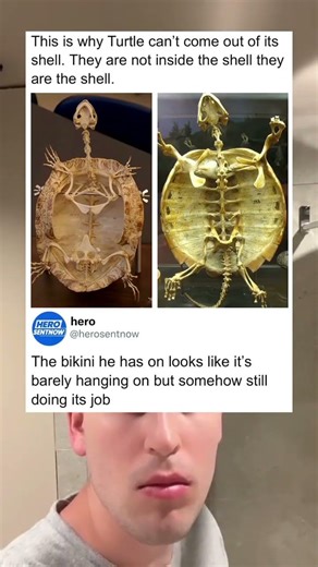 This is why a turtle cannot leave its shell