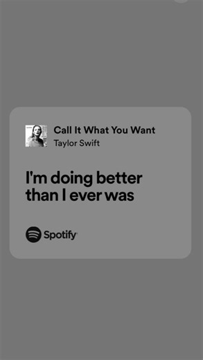 vanie on Instagram: "i recall late november [late november, taylor swift references, call it what you want, reputation, chain round my neck, swifties, girlhood, relatable, cold weather, winter season] #reels #taylorswift #wintermood"