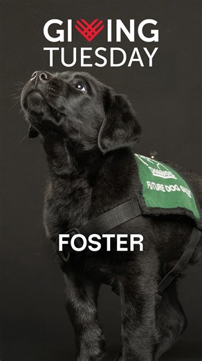 We’ve unlocked the next stage in the Dog Guide journey – Fostering! 🔓 In their foster homes, puppies learn to trust and explore the world with patience and love. Every walk, playtime, and cuddle helps shape them into the confident, attentive Dog Guides they will one day become. Our incredible foster volunteers dedicate countless hours to feeding, caring for, and guiding these puppies every step of the way. Thanks to Pet Valu our foster pups are also well-fed and supported during this important 