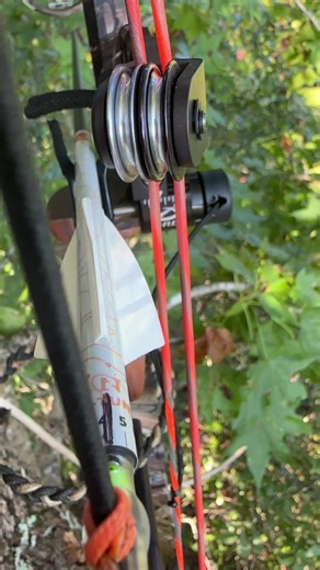 Customize Your Arrows with N-Tune Arrow Wraps