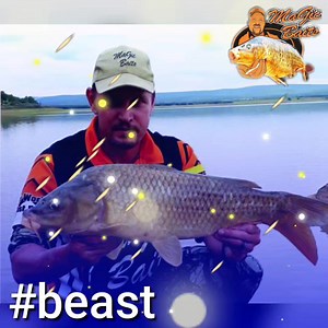 1.7K views · 5 comments | Mastering the Product: Magic Baits Beast...