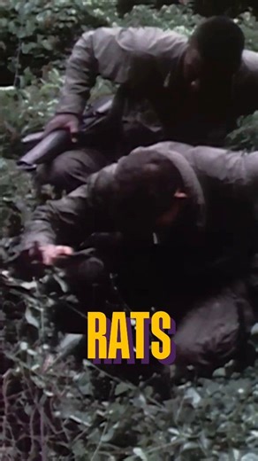 Brutal Truth About Vietnam Tunnel Rats #vietnamwar #vietnamwarhistory #vietnamveteran #warhistory | Vietnam War Heroes