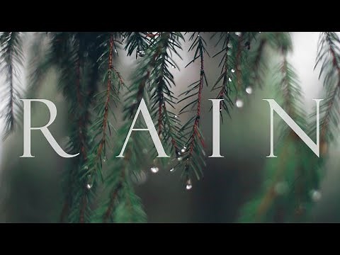 RAIN｜Cinematic short film / Rainy Nature B roll