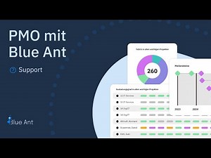 Project Management Office (PMO) with Blue Ant in 3 Minutes