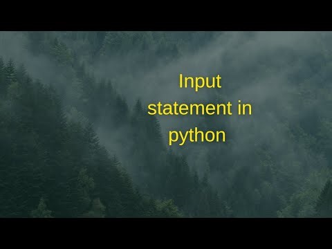 Input Statement in Python.