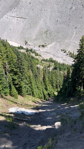 6.9K views · 34 reactions | One of the many things we love about summer at Meadows is seeing what the runs look like compared to winter. Anyone know where this one is?樂 #yourmountainhome #mthood #mthoodmeadows #meadows #summeratmeadows | Mt. Hood Meadows | Facebook