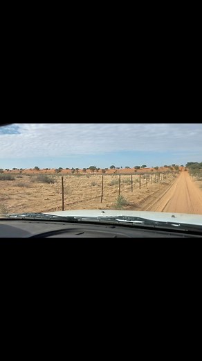 Savanna goats 🇳🇦🚜 | Eatonville Boerdery