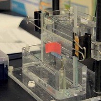 Video: Highly Efficient Ligation of Small RNA Molecules for MicroRNA Quantitation by High-Throughput Sequencing