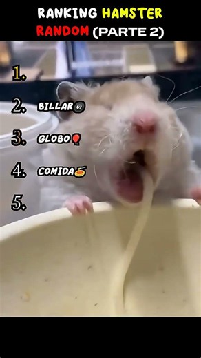 😂TOP 5 MOMENTOS MÁS GRACIOSOS DE HAMSTER PARTE 4😂