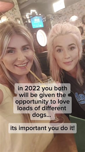 We've been making dogs dreams come true for three years now, and were forever greatful ♥️ #tiktoktrend #dogdaycare #dogtok #dogfriendly