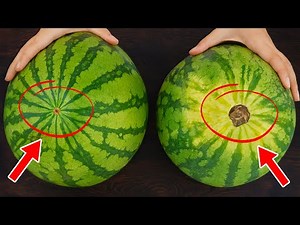 Experienced Fruit Farmer Teaches Tips On Choosing Delicious, Sweet And Fleshy Fruits