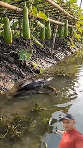 Sertão #northeast #northeast #viral