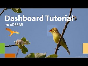 ADEBAR: Video-Tutorial zum Dashboard