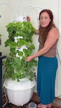 Tower Garden Home Unit Aeroponic Garden | Indoor Gardening Vertical Garden Grow Lettuce, Herbs &