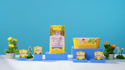 Buzzy Seeds Taco Night Windowsill Grow Kit Indoor Seed Starter