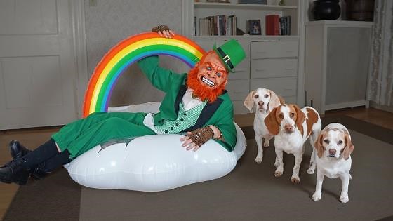 Dogs prank friend with mischievous leprechaun trick